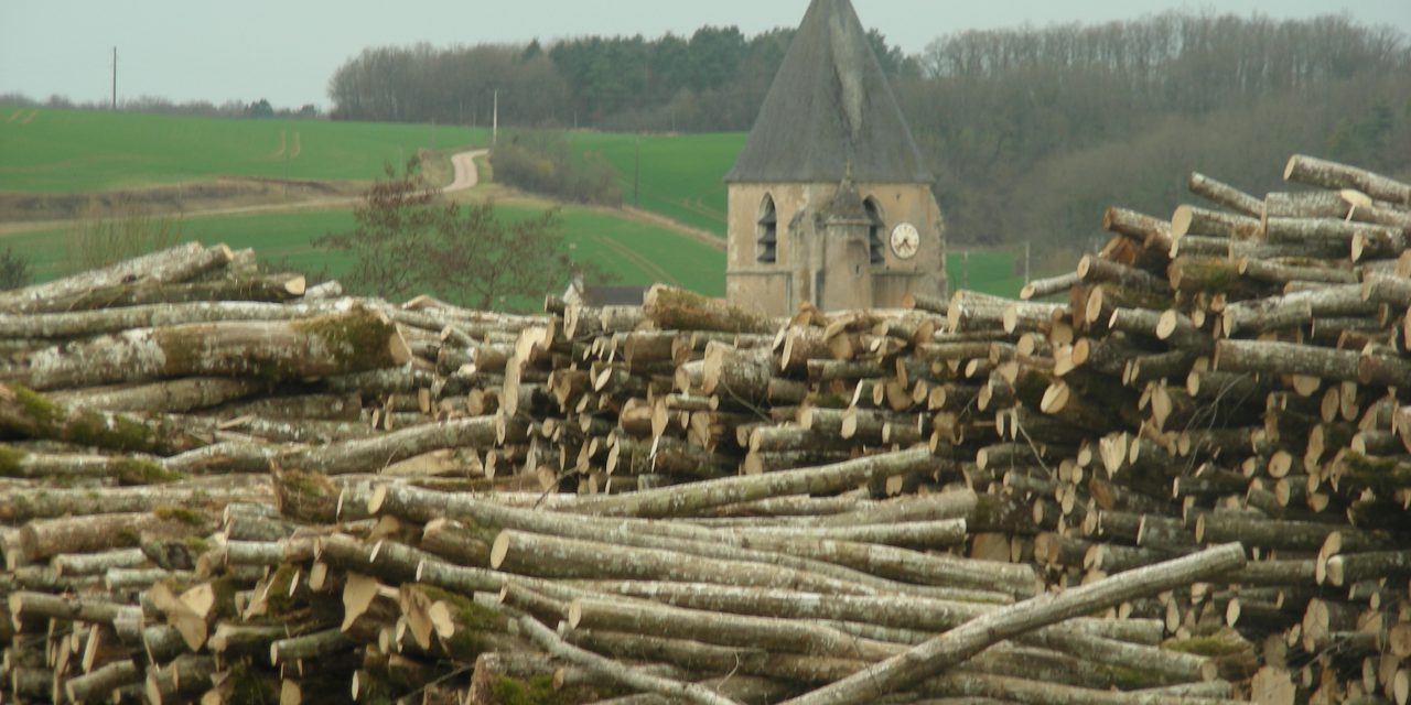 31 projets retenus pour le fonds chaleur renouvelable