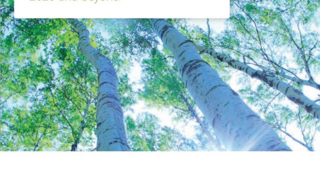 Objectif 3*20: étude (pas très optimiste) de Deloitte