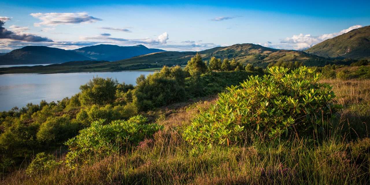 Deviens Lord ou Lady en achetant ta parcelle des Highlands