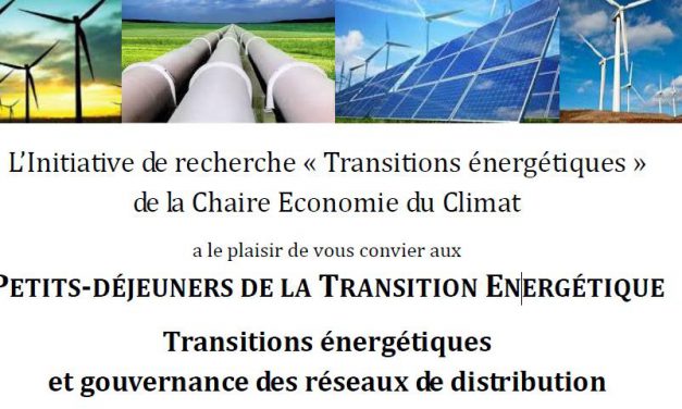 Transition énergétique et réseaux de distribution