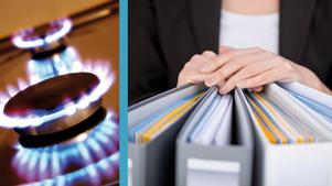 EDF et Gaz de Paris retenus par le SIGERLY