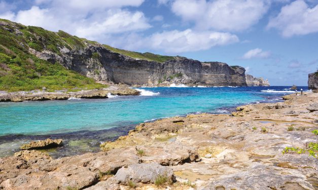 Guadeloupe: transformer les algues sargasses en énergie