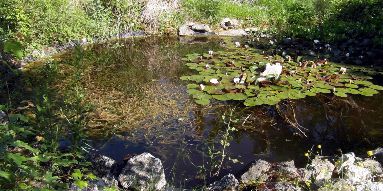 Jardiner autrement: les lauréats 2015