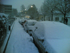 Bilan mensuel / Janvier 2007 : tempête et chutes de neige