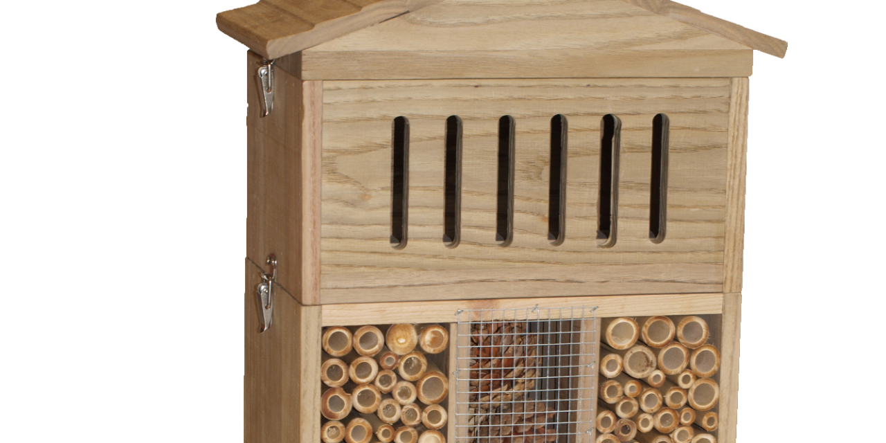 Jardinage: offrez un 5 à 7 à vos insectes