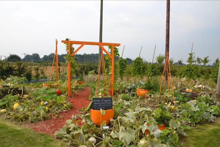 Potagers remarqués et remarquables