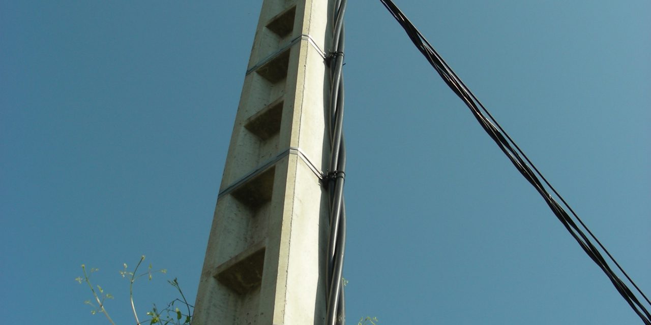 Le Turpe nouveau est arrivé