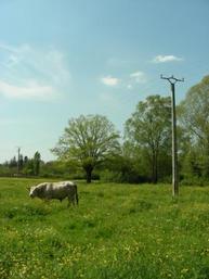 Près de 700.000 changements de fournisseur depuis 2007