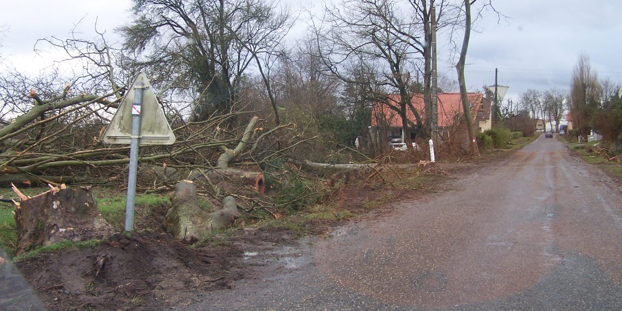 Météo et gestion du réseau