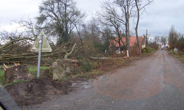 Météo et gestion du réseau