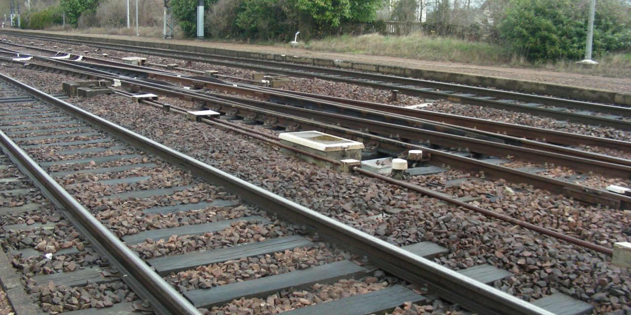 Les vaches regarderont les trains et les panneaux solaires