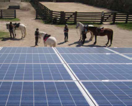 Solarwatt retenu pour un projet photovoltaïque en Camargue