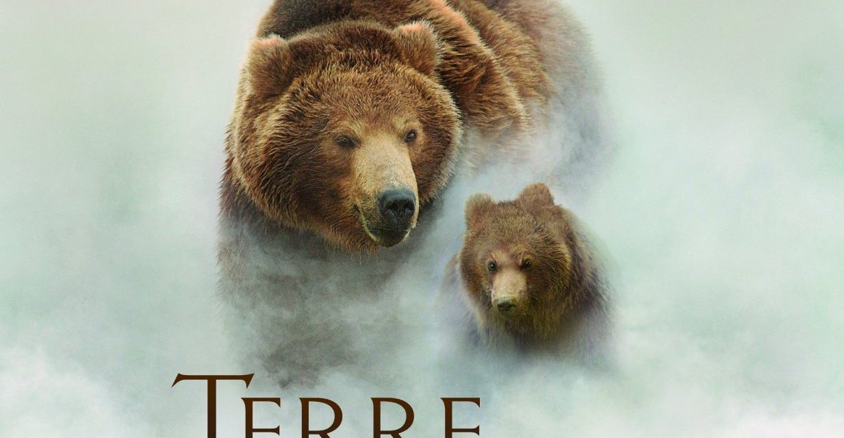 Beaux livres: Terre des ours