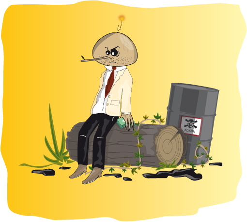 Pinocchio 2011 du développement durable